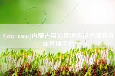 芜湖内蒙古自治区消防技术服务执业管理平台