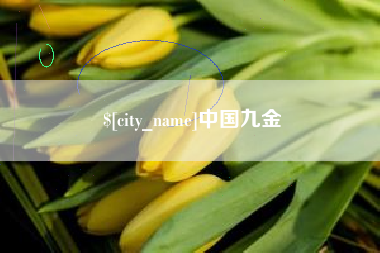 芜湖中国九金