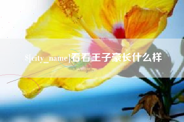芜湖看看王子豪长什么样