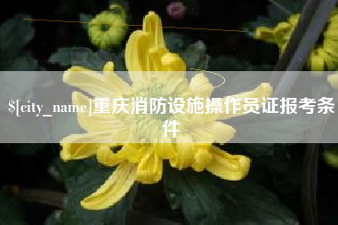 芜湖重庆消防设施操作员证报考条件