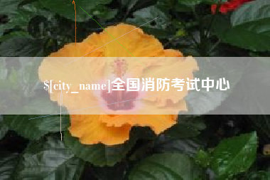芜湖全国消防考试中心