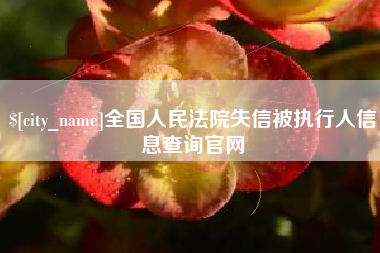 芜湖全国人民法院失信被执行人信息查询官网