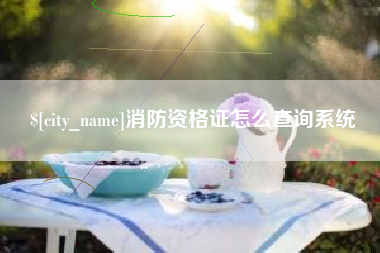 芜湖消防资格证怎么查询系统