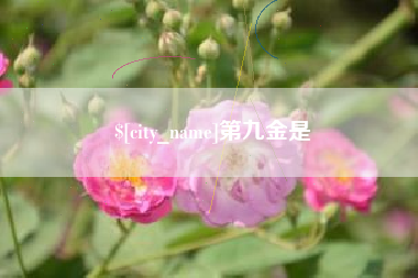 芜湖第九金是