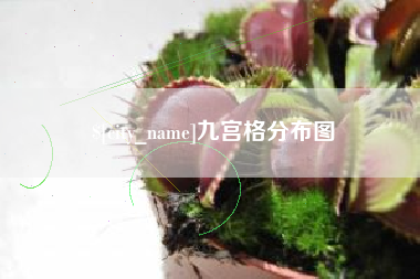 芜湖九宫格分布图