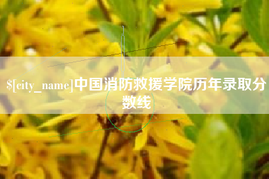 芜湖中国消防救援学院历年录取分数线