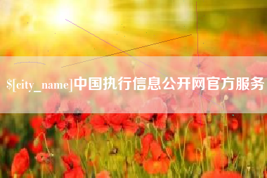 芜湖中国执行信息公开网官方服务