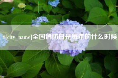 芜湖全国消防日是每年的什么时候