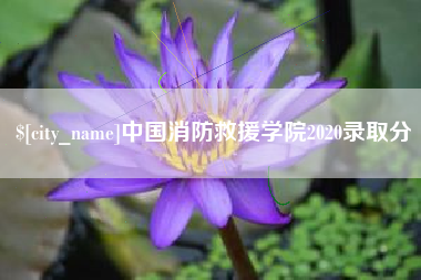 芜湖中国消防救援学院2020录取分