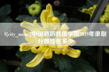 芜湖中国消防救援学院2019年录取分数线是多少
