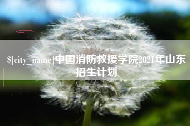 芜湖中国消防救援学院2021年山东招生计划