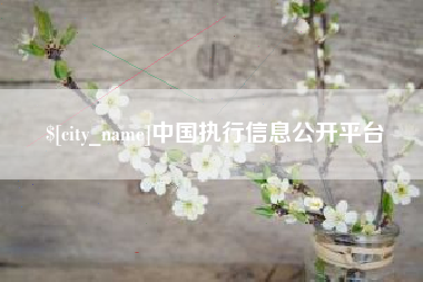 芜湖中国执行信息公开平台