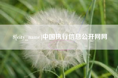 芜湖中国执行信息公开网网