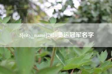 芜湖2024奥运冠军名字