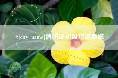 芜湖消防证初级查询系统