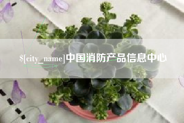 芜湖中国消防产品信息中心