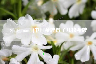 芜湖中国金牌得了几枚金牌