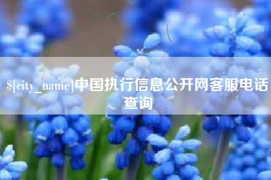 芜湖中国执行信息公开网客服电话查询