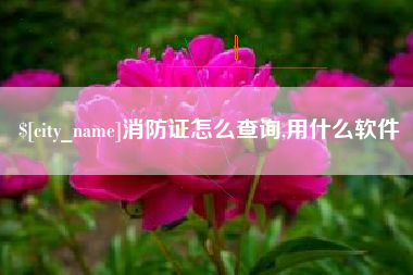 芜湖消防证怎么查询,用什么软件
