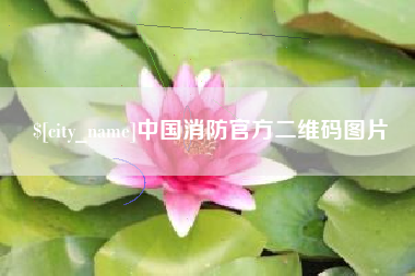 芜湖中国消防官方二维码图片