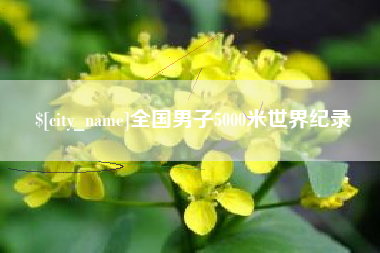 芜湖全国男子5000米世界纪录