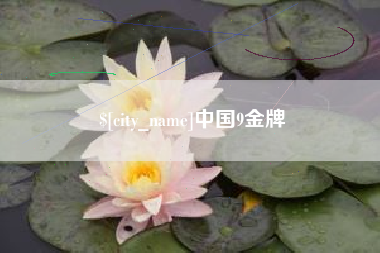 芜湖中国9金牌