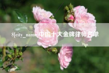 芜湖中国十大金牌律师名单