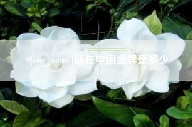 芜湖现在中国金牌是多少