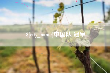 芜湖中国队 冠军