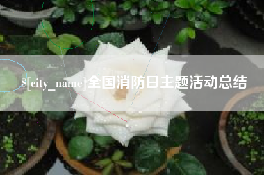 芜湖全国消防日主题活动总结