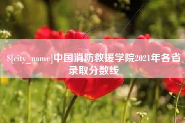 芜湖中国消防救援学院2021年各省录取分数线