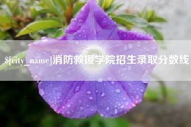 芜湖消防救援学院招生录取分数线