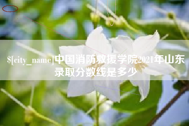 芜湖中国消防救援学院2021年山东录取分数线是多少
