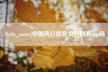 芜湖中国执行信息公开网有app吗