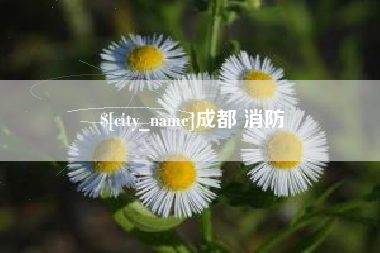芜湖成都 消防