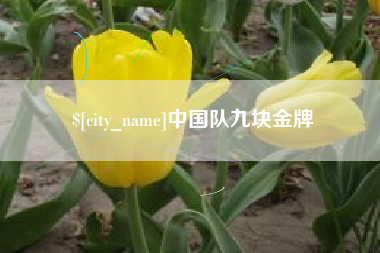 芜湖中国队九块金牌