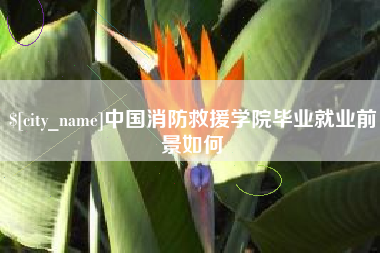 芜湖中国消防救援学院毕业就业前景如何