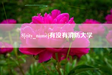 芜湖有没有消防大学