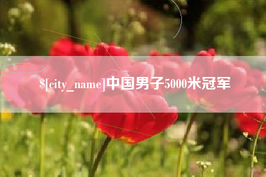 芜湖中国男子5000米冠军