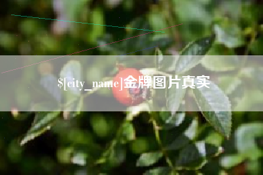 芜湖金牌图片真实
