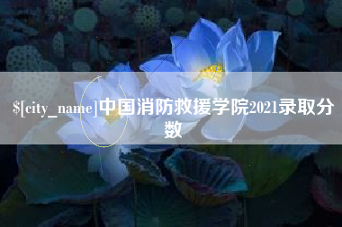 芜湖中国消防救援学院2021录取分数