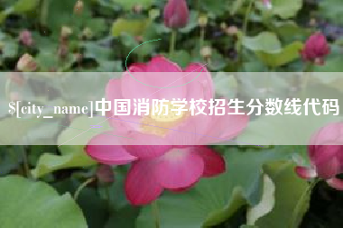 芜湖中国消防学校招生分数线代码