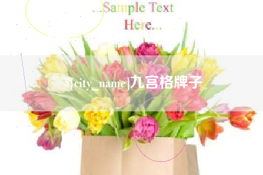 芜湖九宫格牌子