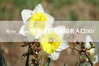 芜湖中国消防官网报名入口2024