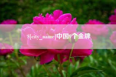 芜湖中国9个金牌