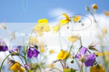 芜湖中国队拿几块金牌了