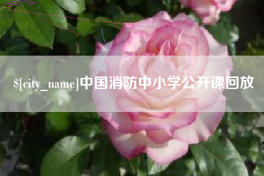 芜湖中国消防中小学公开课回放