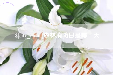 芜湖森林消防日是哪一天