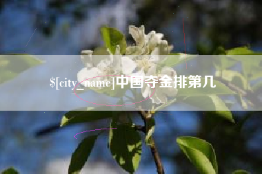 芜湖中国夺金排第几