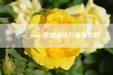 芜湖我国消防日是每年的